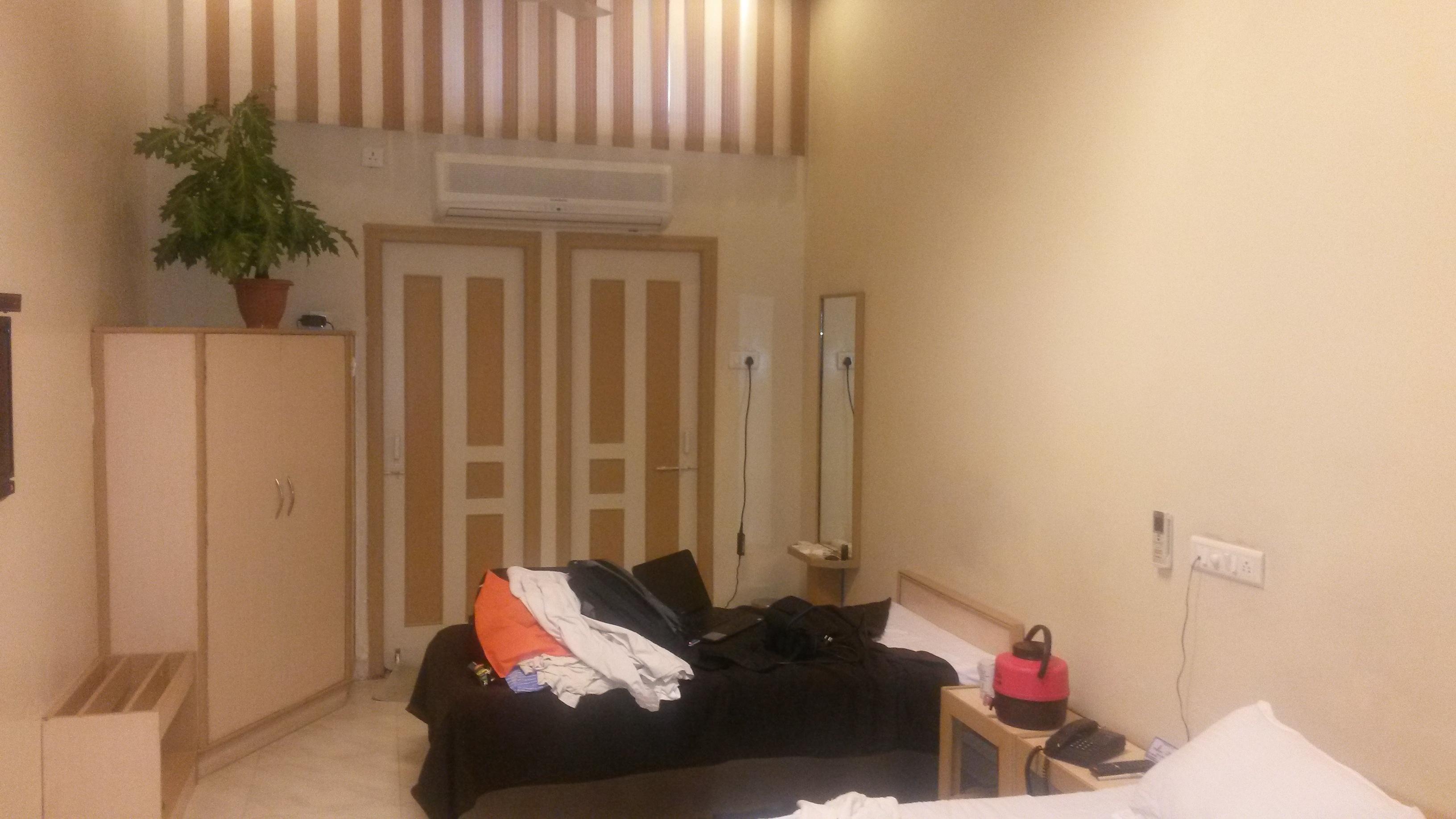 Hotel krishna palace-客卧