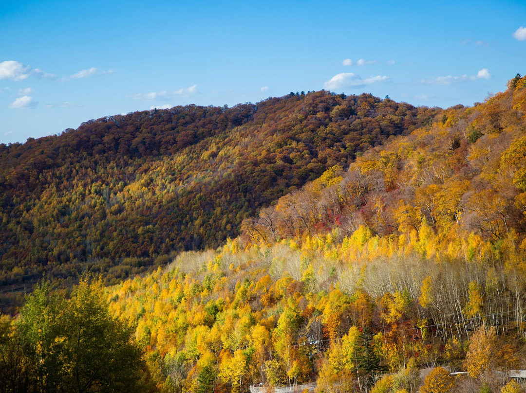 长白山万达智选假日酒店主图