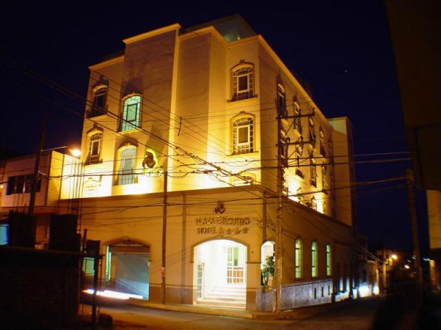 Hotel Plaza Ejecutivo-官方