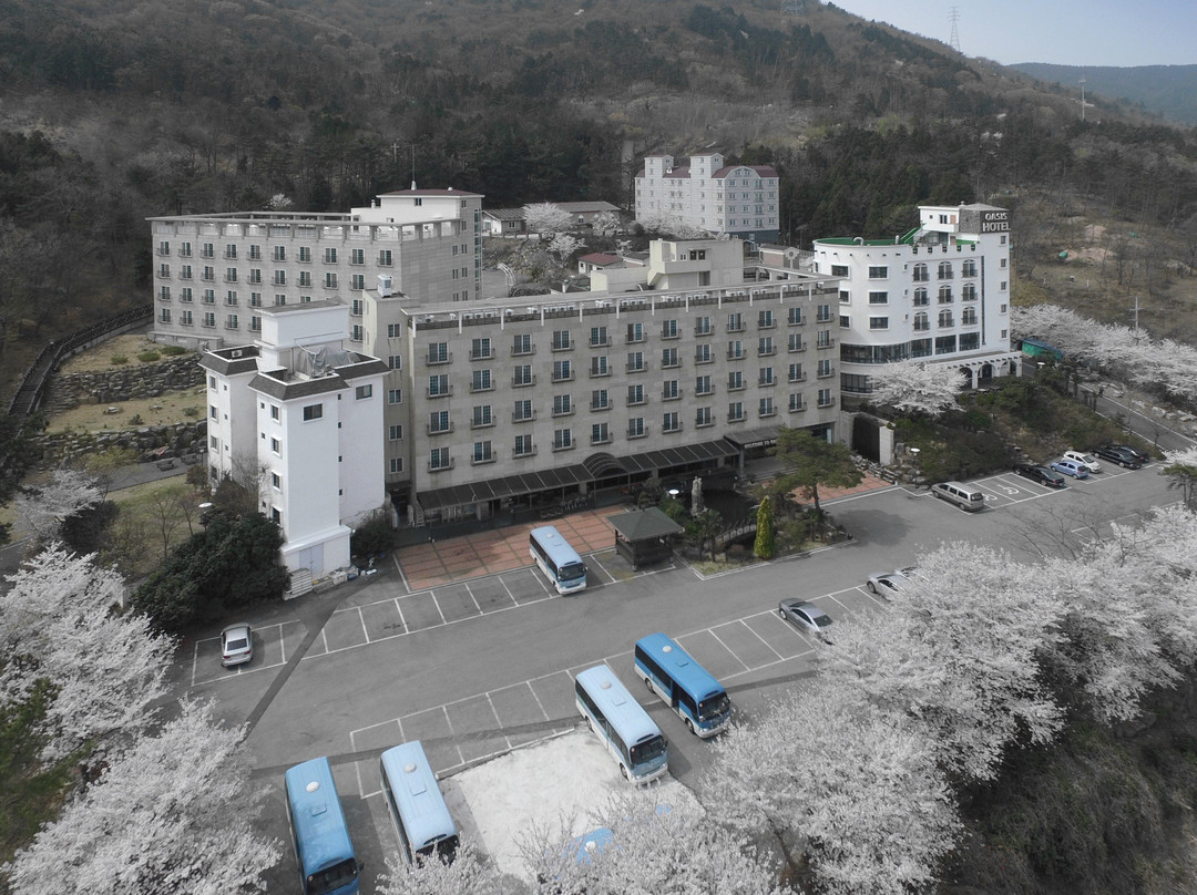 巨济市酒店住宿-Oasis  Hotel