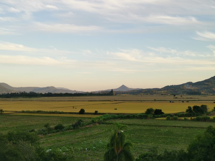 Lavouras De Arroz景点图片
