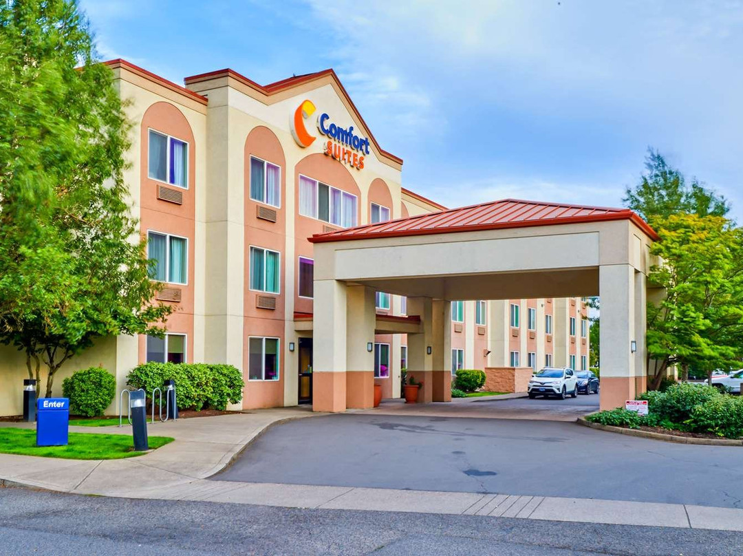 斯普林菲尔德酒店住宿-Comfort Suites Springfield RiverBend Medical