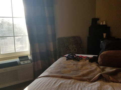 安大略华美达酒店主图