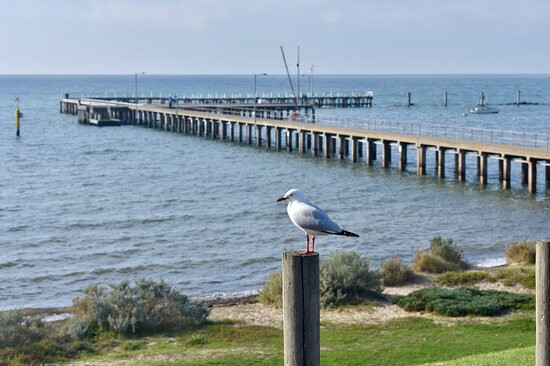Edwards Point State Faunal Reserve-St Leonards必去景点