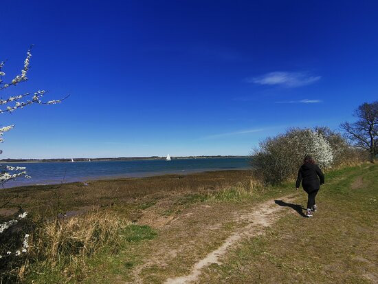 Wrabness Nature Reserve景点图片