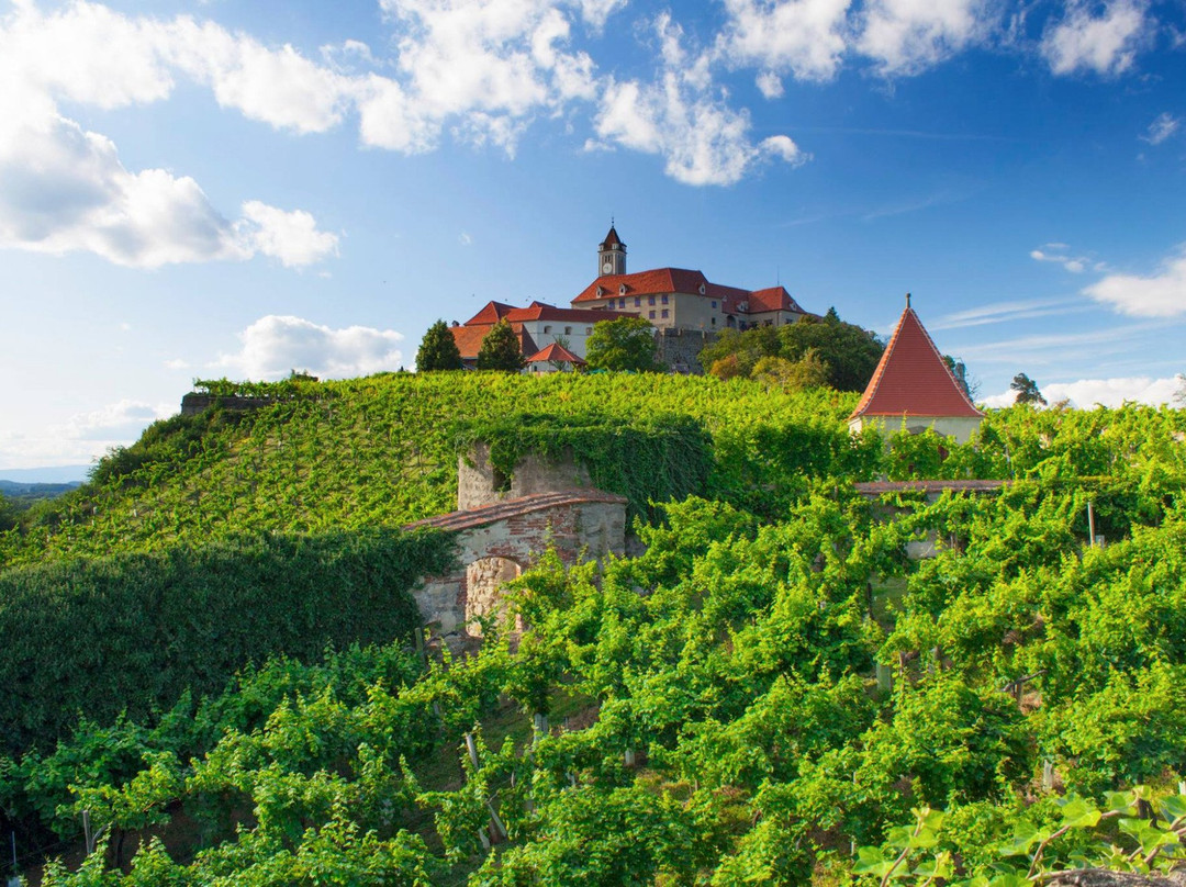 Soechau旅游景点-Riegersburg Castle