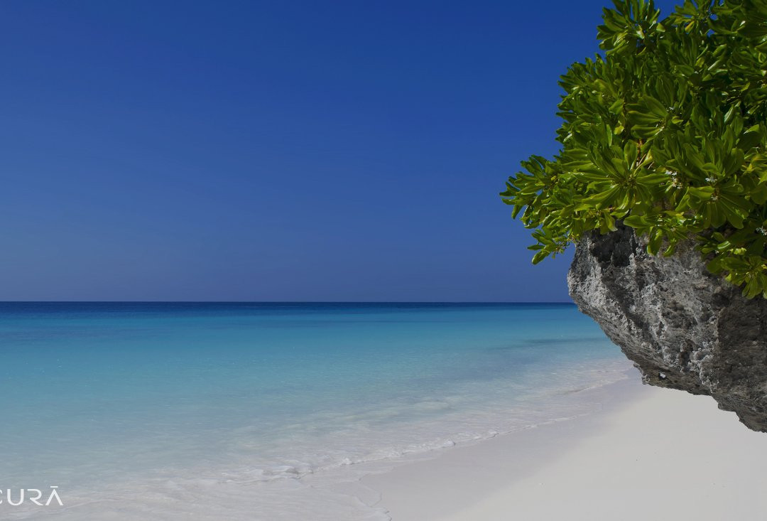 Natucura | Natural Health & Wellness-Noord必去景点