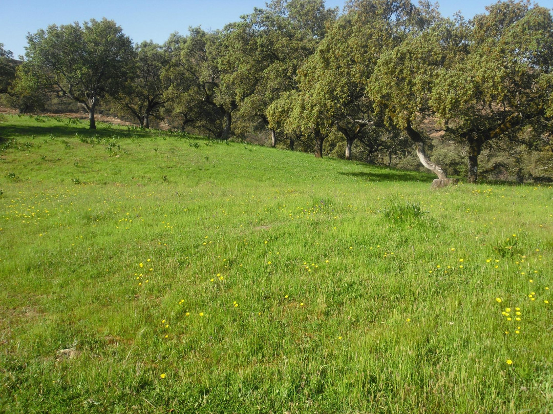 Finca Los Robledos景点图片