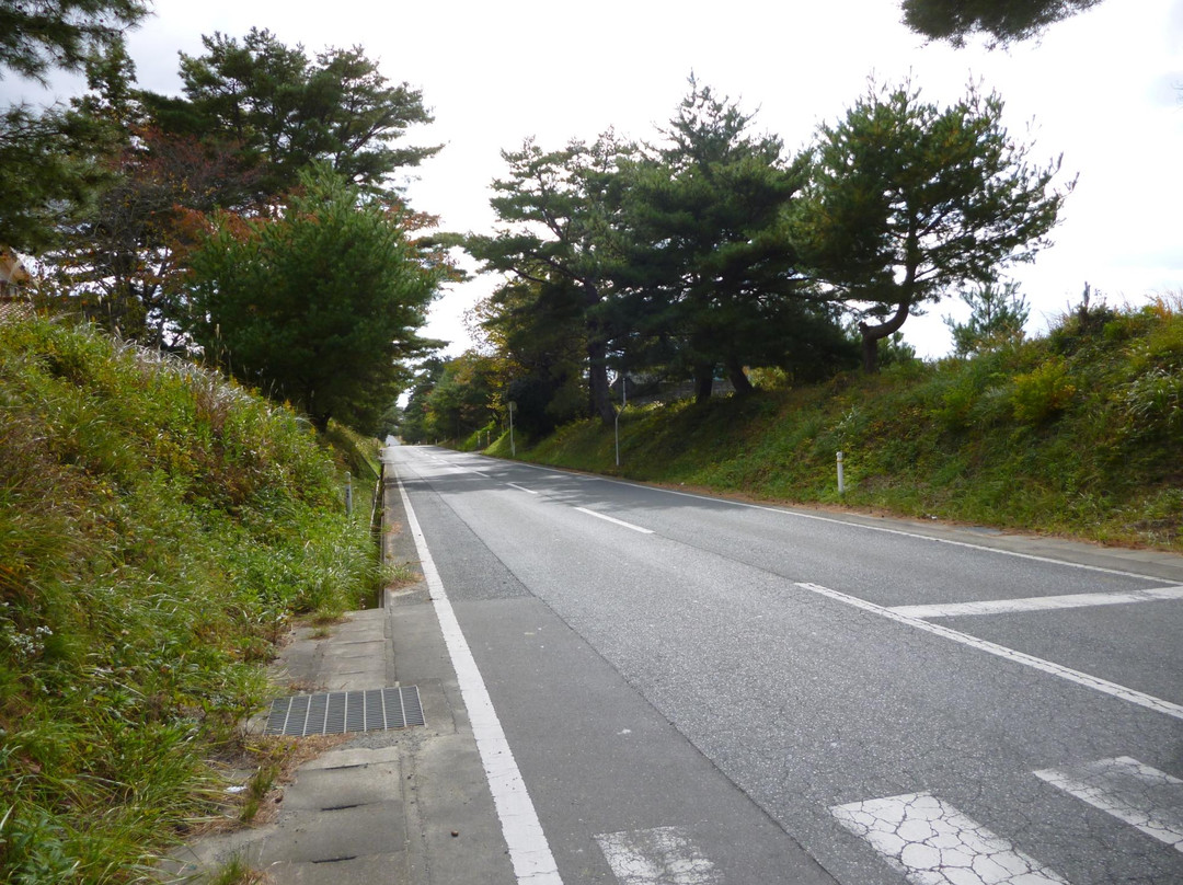 相马市旅游景点-Rikuzenhamakaido Avenue