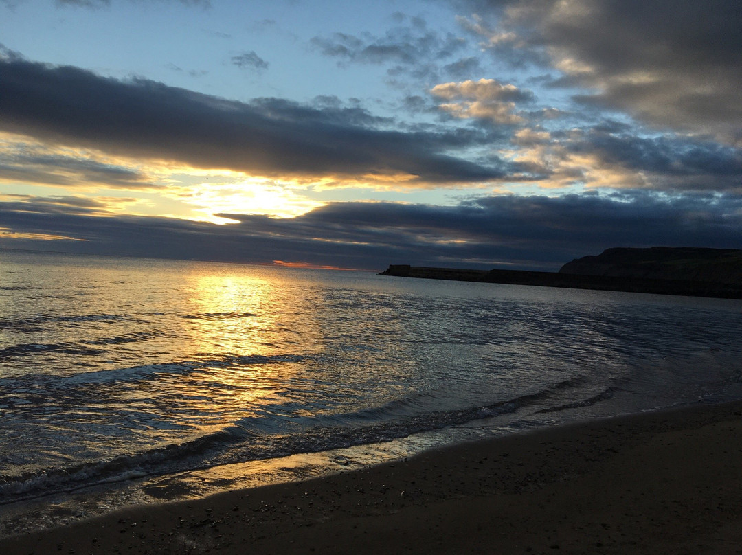 Cattersty Sands Beach景点图片