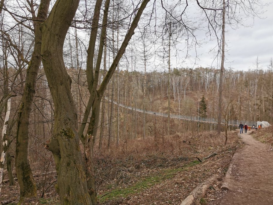Hängeseilbrücke Hohe Schrecke