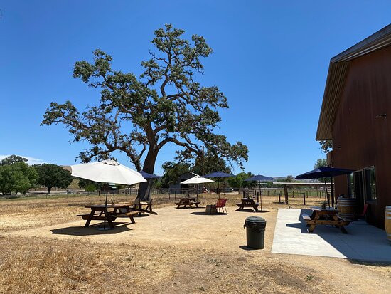 Clesi Winery景点图片
