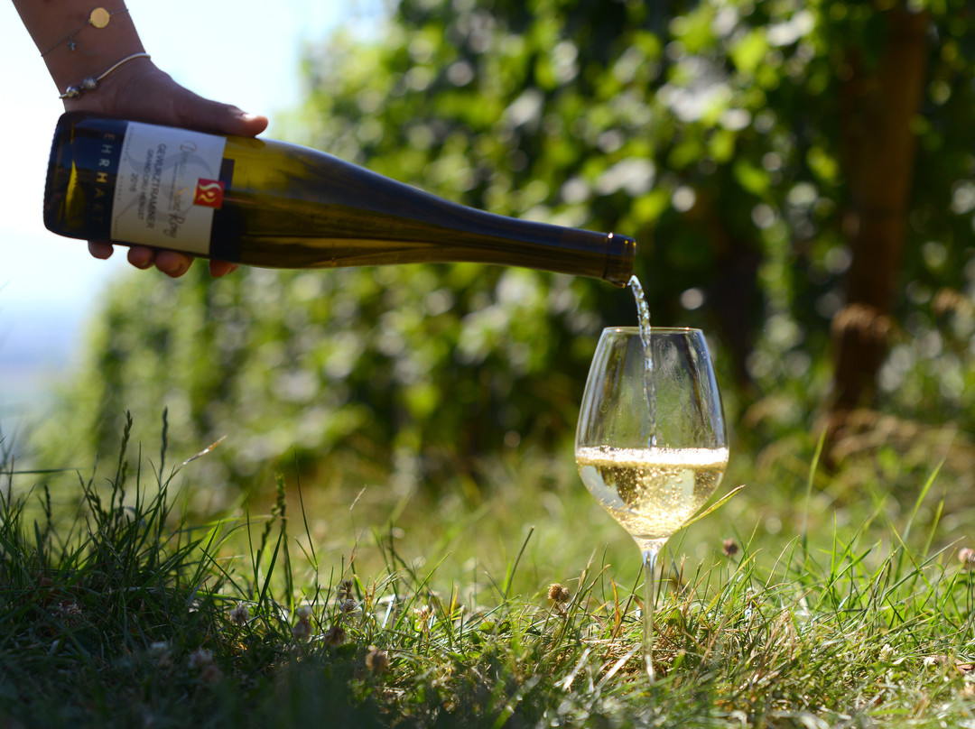 Domaine Saint Remy景点图片