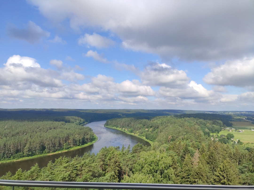 Birštonas Observation Tower