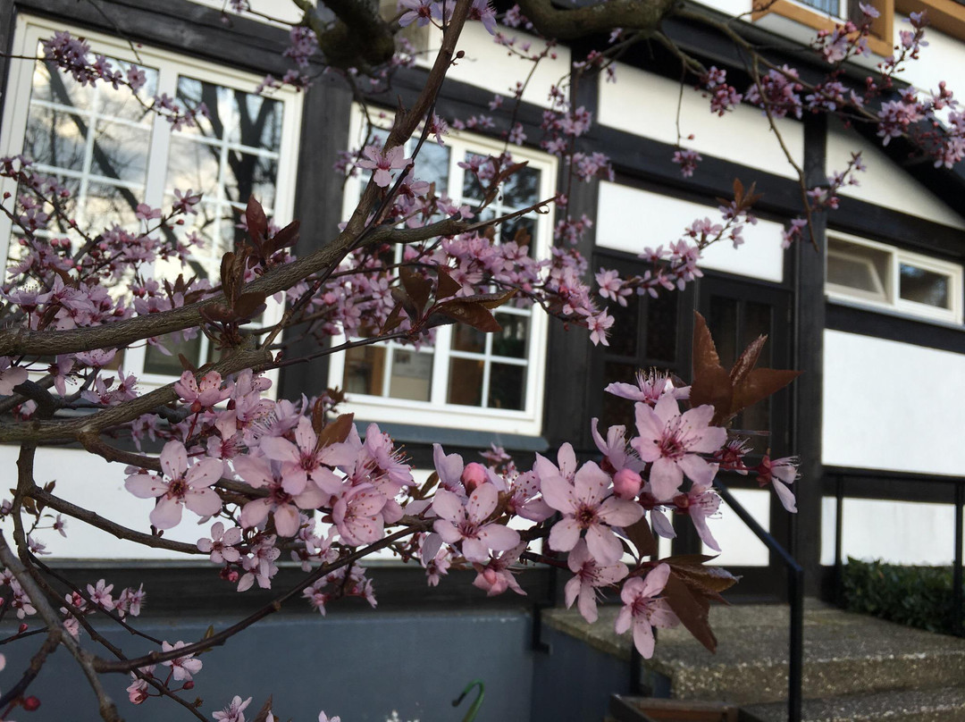 Hotel-Restaurant Zummethof