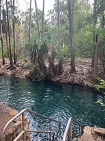 Elsey National Park-Mataranka必去景点