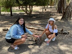 Toy Factory and Big Rocking Horse-Gumeracha必去景点