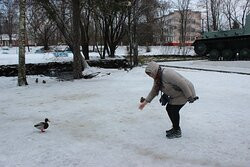 Tank IS-3景点图片