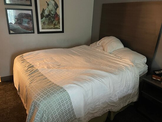 La Quinta Inn & Suites by Wyndham St. Augustine主图