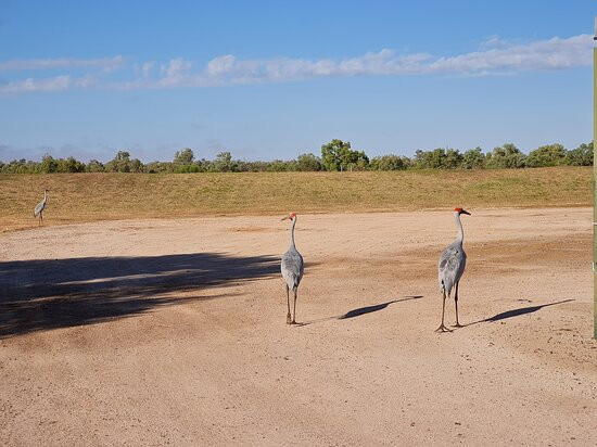Boulder Opal Motor Inn主图