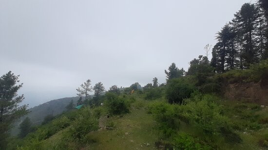 Kufri Pacific Resort主图