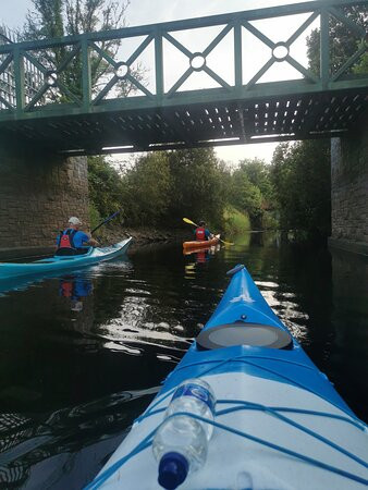 Lough Rynn Kayaking Tours景点图片