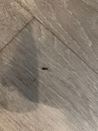 Tru By Hilton Mcdonough, Ga主图