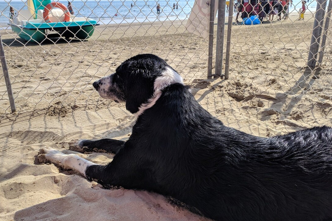 Bagni Blasco119-塞尼加利亚必去景点