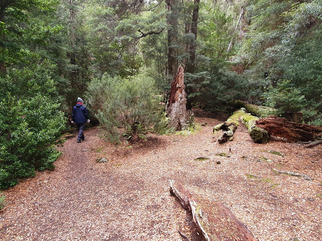 Echo Point Hut景点图片