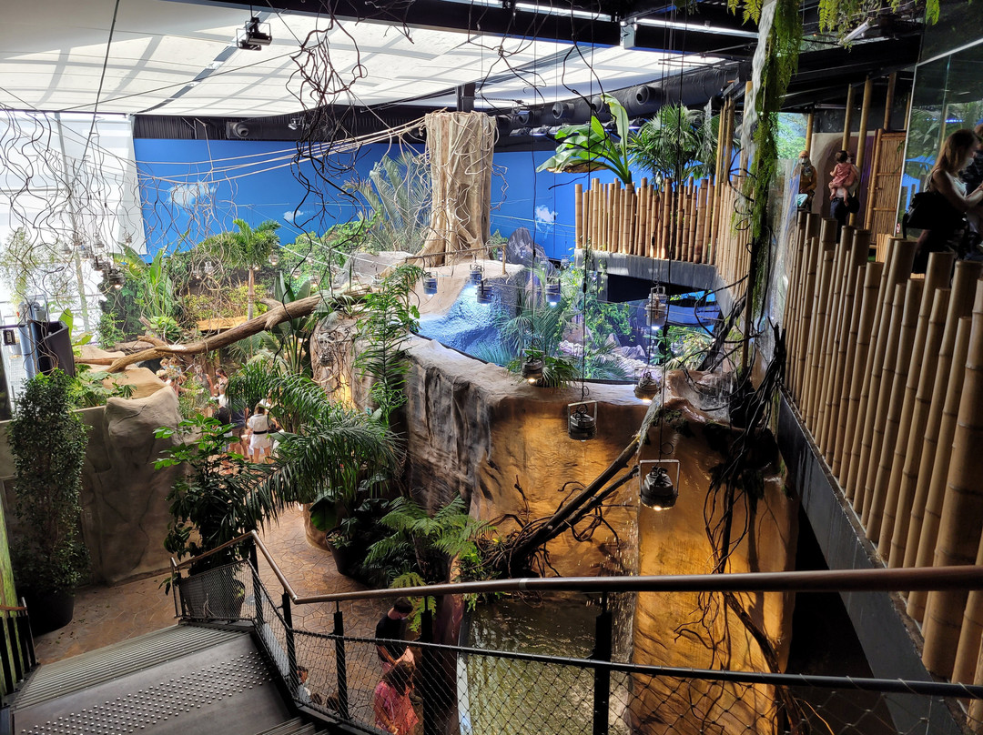 Aquarium Oniria景点图片