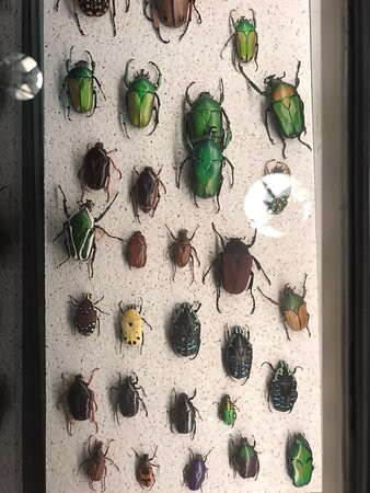 Micropolis La Cite Des Insectes-Saint-Leons必去景点