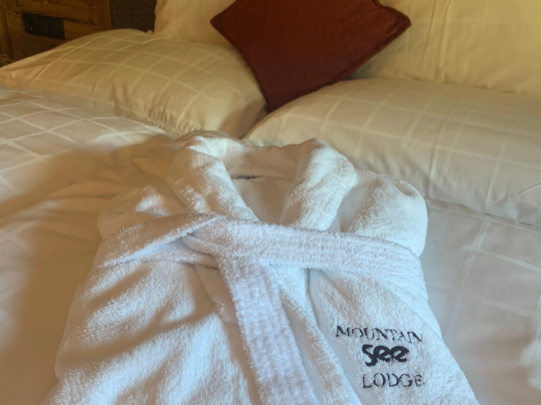 Mountain See Lodge
