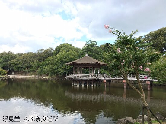 浮见堂-奈良市必去景点