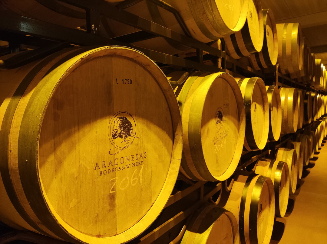 Bodegas Aragonesas - Bodegas Aragonesas Multicanal S.l.-Fuendejalon必去景点