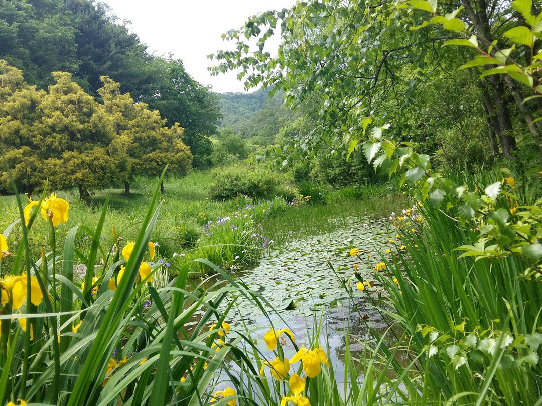 抱川市旅游景点-Pyunggang Botanical Garden