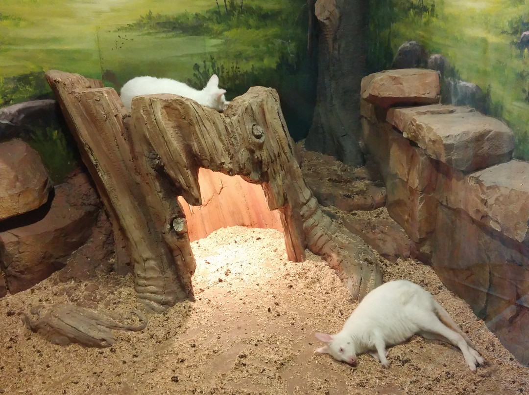 Play Aquarium Bucheon