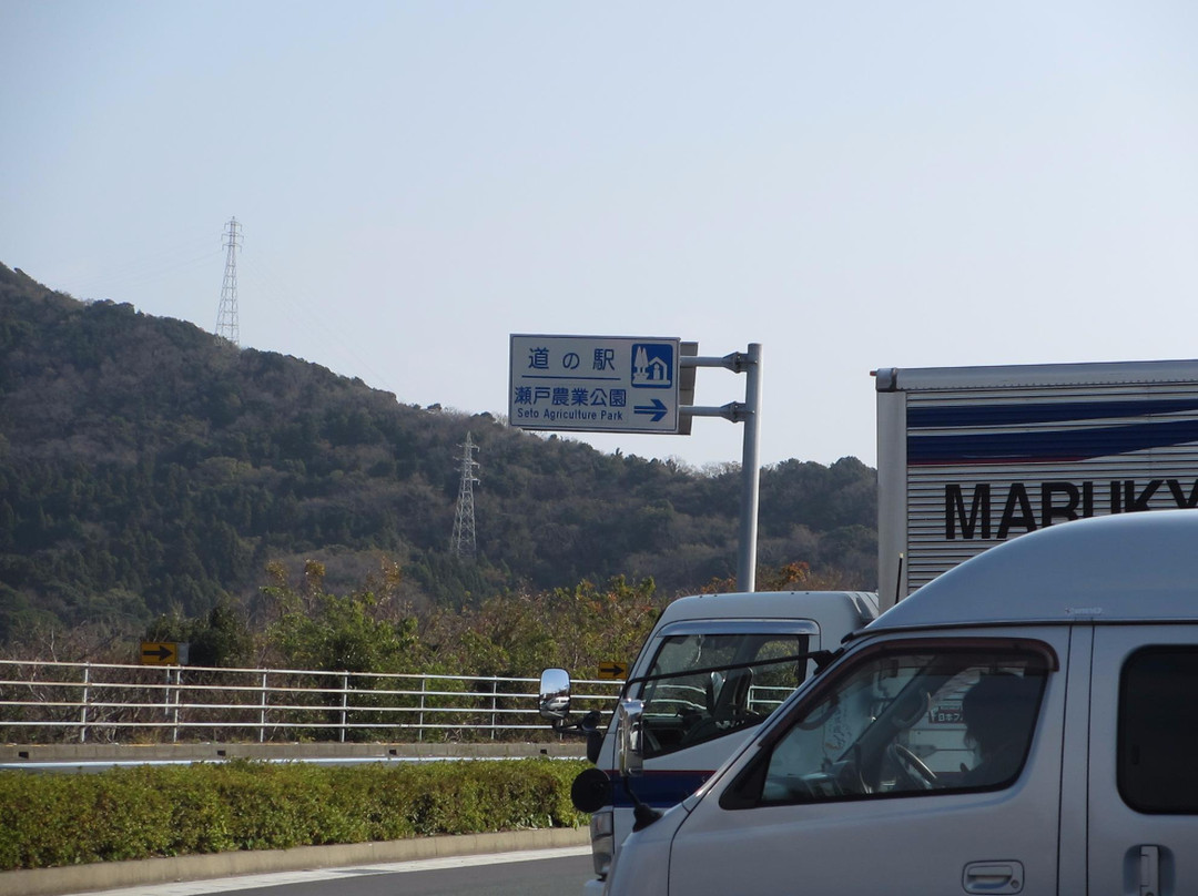 Michi no Eki Setonogyo Park-伊方町必去景点