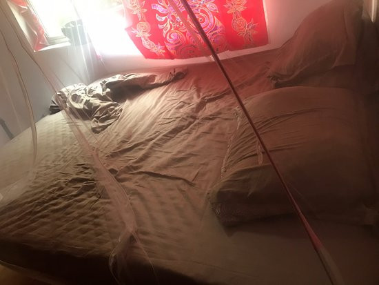 Pension Teheimana主图