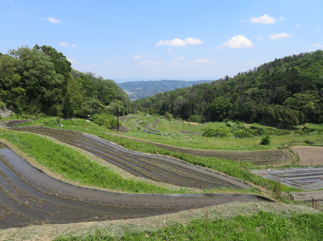 生驹市旅游攻略图片
