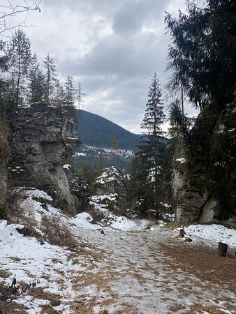 Pestera de Gheata si Grota ursilor景点图片