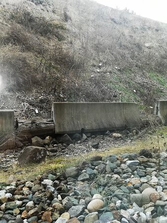 Super 8 by Wyndham Williams Lake BC主图