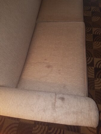 Holiday Inn Express & Suites Bainbridge by IHG主图