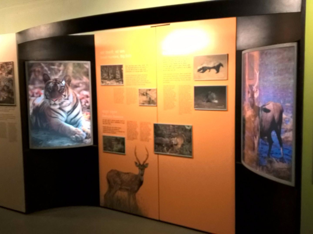 Baghel Museum景点图片