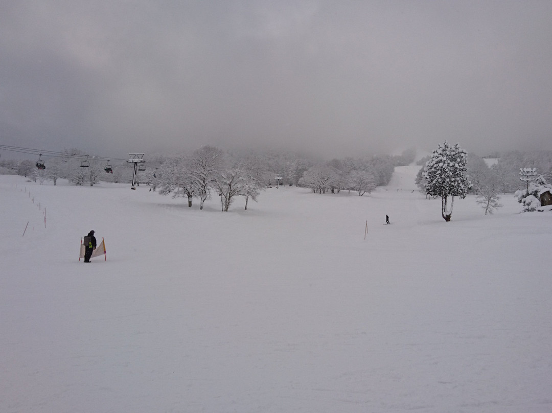 Kurohime Plateau Snow Park-信浓町 必去景点