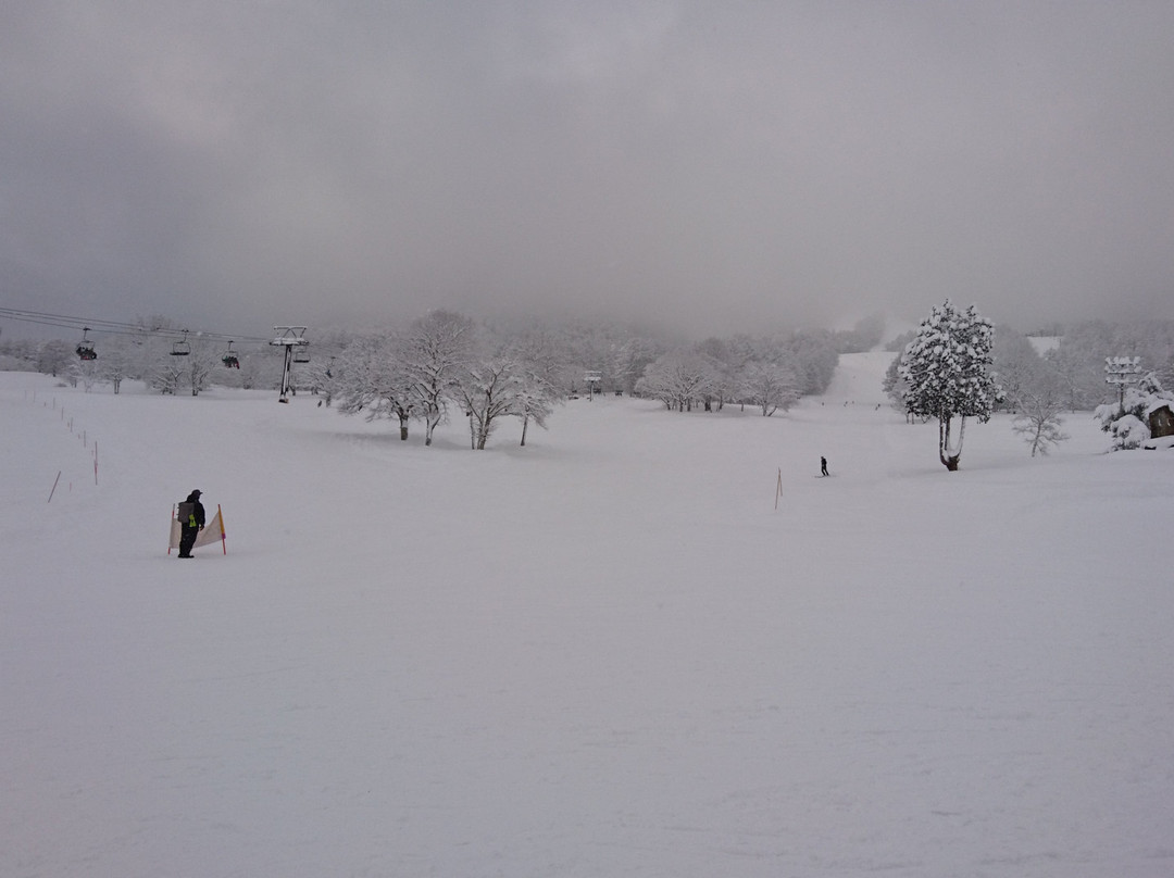Kurohime Plateau Snow Park景点图片