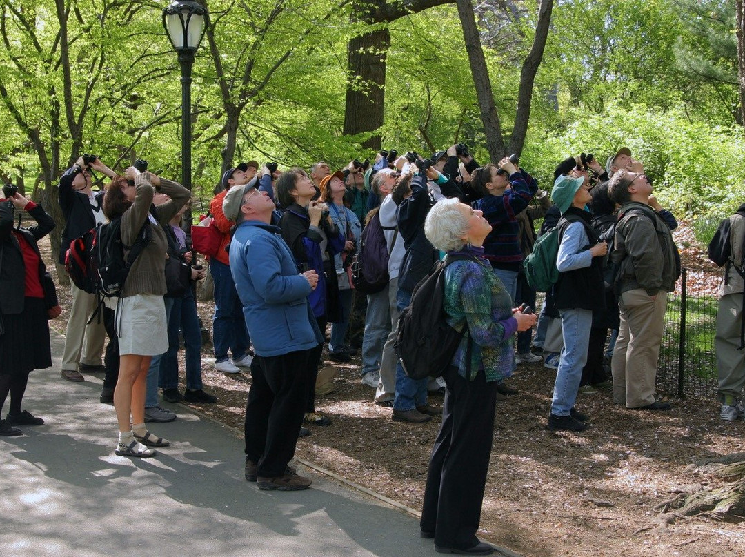 Birding Bob-纽约市必去景点