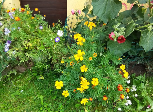 Corteno Golgi餐馆和美食-Al Comu