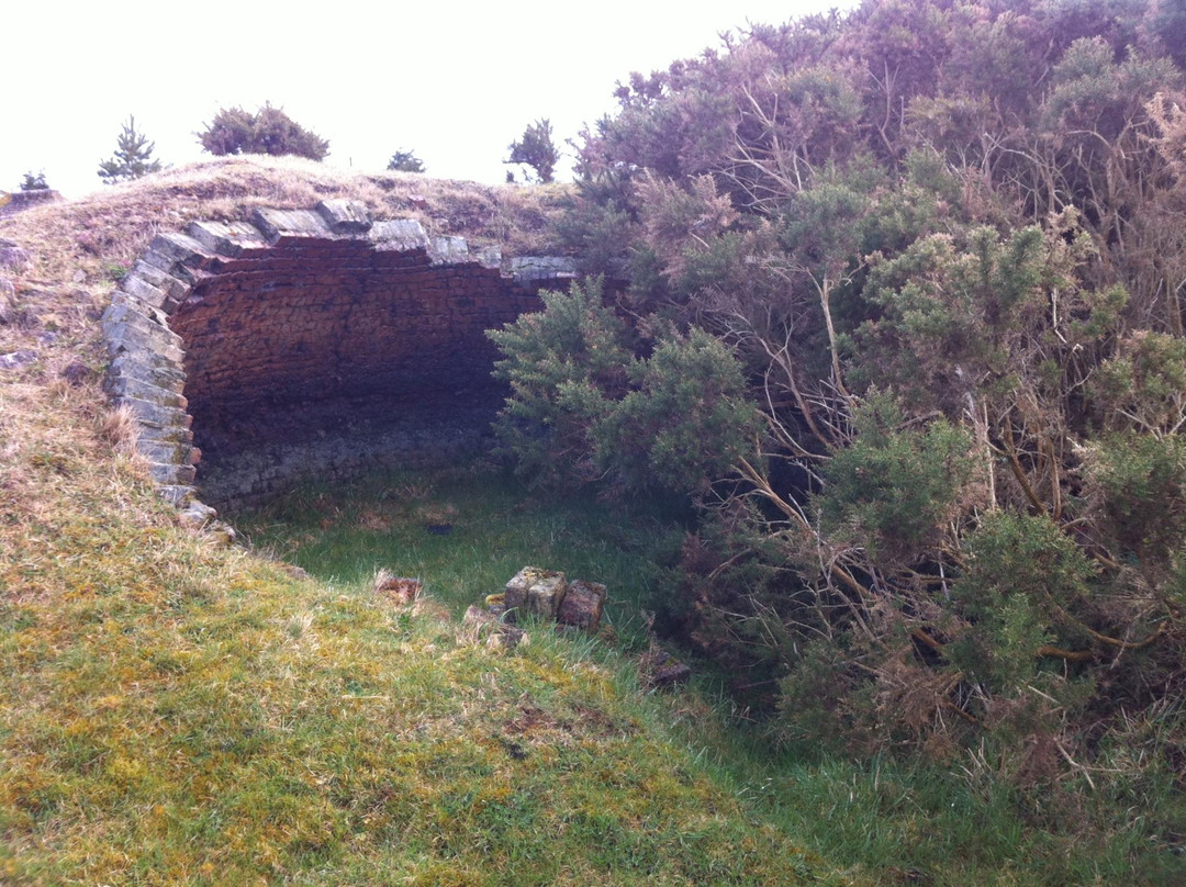 Tow Law旅游攻略图片