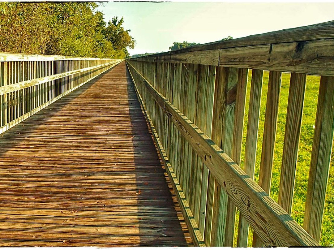 Black Creek Trail-橙园必去景点