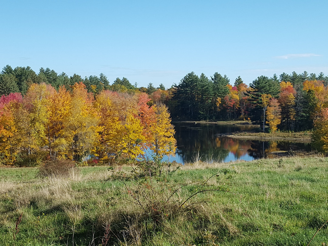 Canterbury旅游攻略图片